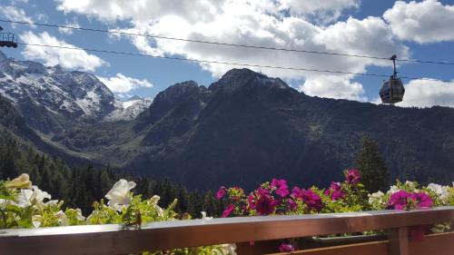 Hotel La Roccia in Ponte Di Legno