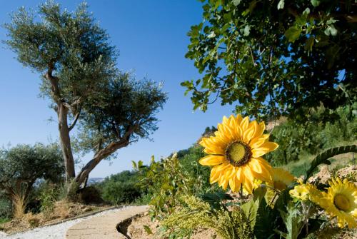 Agriturismo Il Falco