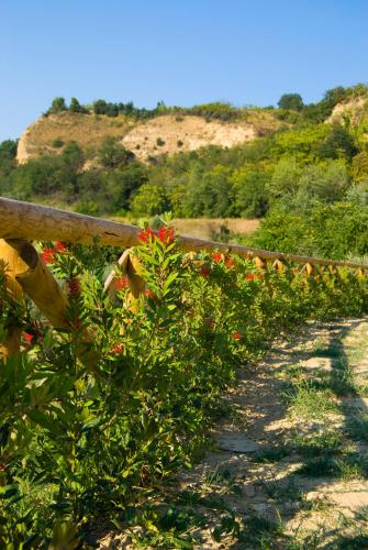 Agriturismo Il Falco