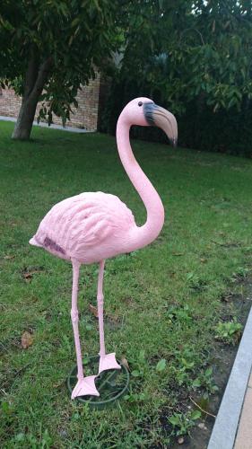 Flamingo Panzio in เซเกสเฟแฮร์วาร์
