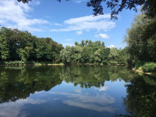 Alte Heimat - image 4