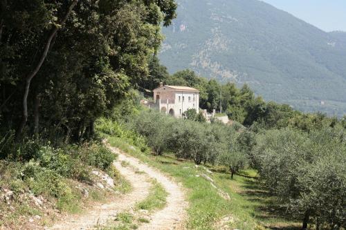 Antico Casolare Ceselenardi in Faicchio