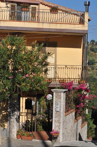 Accommodation in Gallodoro