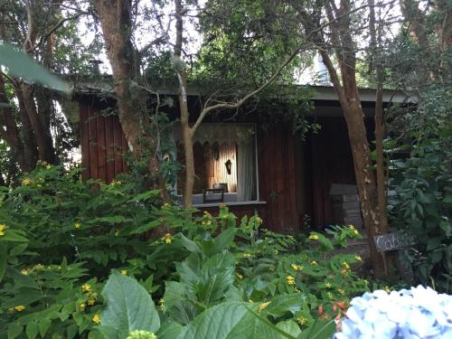 Cabañas el Bosque Patagónico