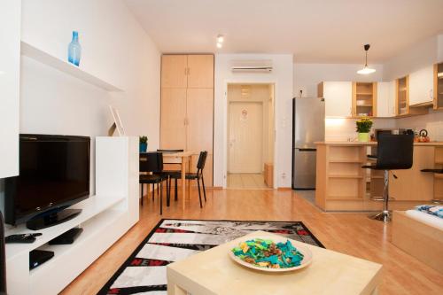 Gabriella studio in the downtown., Budapest (photo 11)