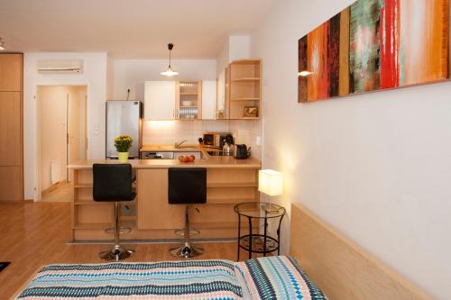 Gabriella studio in the downtown., Budapest (photo 10)