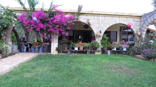 Elausa Hotel & Restaurant - image 5