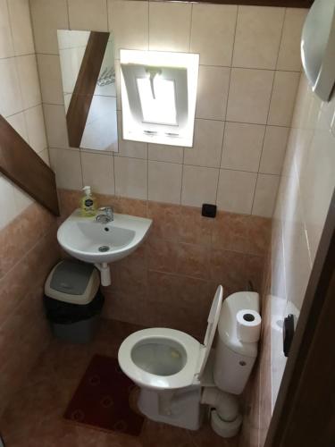 Penzion V Zelený - image 7