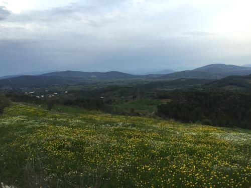 Gokpinar Country Home - image 5