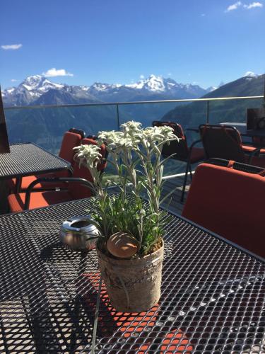 Hotel Belalp – Belalp, MS