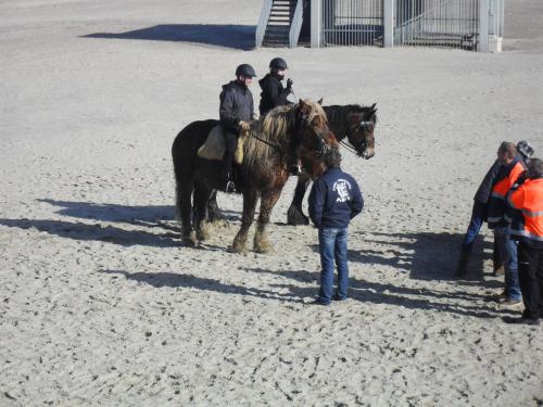 Tante Truus, een Torenhoeve appartement