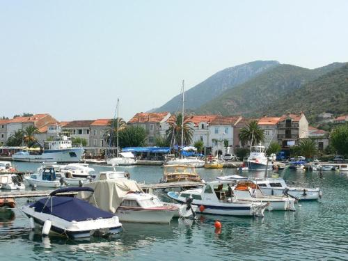 Guesthouse Aurora - image 6