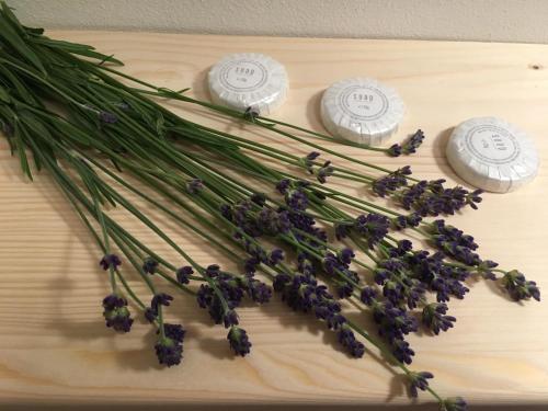 House Apartmentshumpolec + Garden - image 11