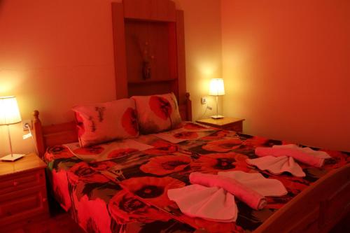 Shipka IT Hotel image 19