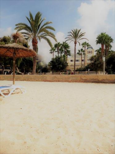 Hotel Ciutat Jardi - image 14