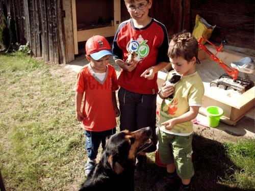 Hanserhof - image 11