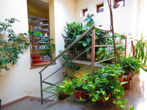  L´Arca di Noè, Pension in Enna