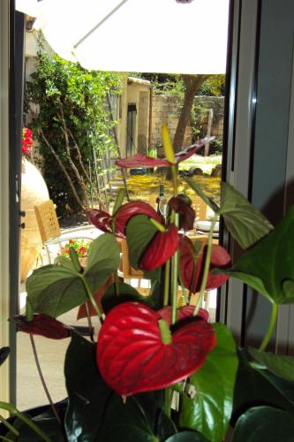 La Fattoria - image 2
