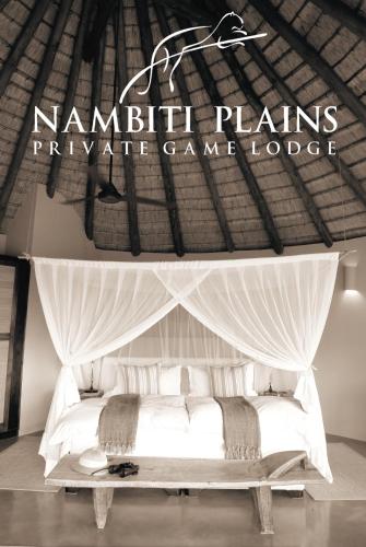 Nambiti Plains Private Game Lodge in Ladysmith