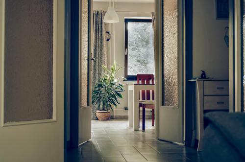 Balokány apartman - image 4