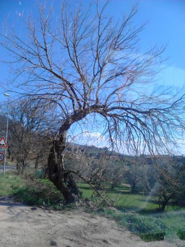 B&B Il Sentiero di Assisi