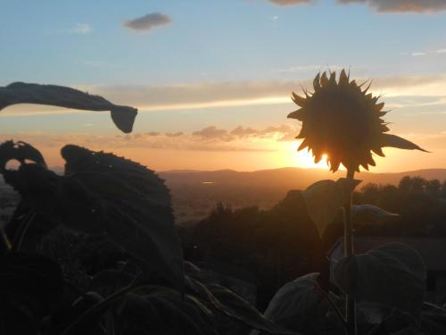 B&B Il Sentiero di Assisi – Assisi, CT