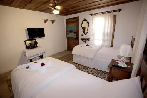  Kadılar Paşazade Konağı Pansiyon in 34440 Birgi