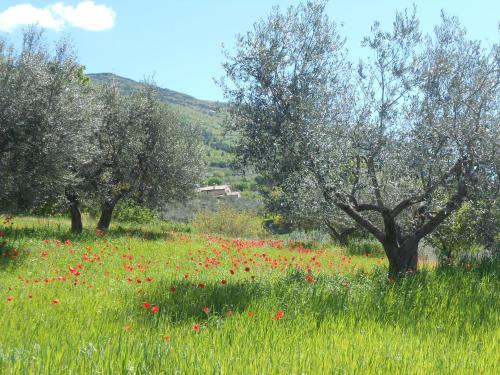 B&B Il Sentiero di Assisi – Assisi, CT
