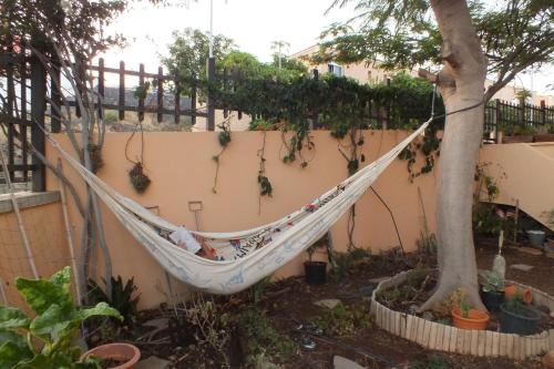 Casa Nea 4