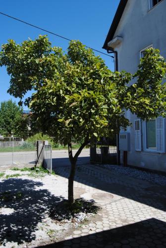 Apartment with Free Parking, Lublaň (fotografie 8)