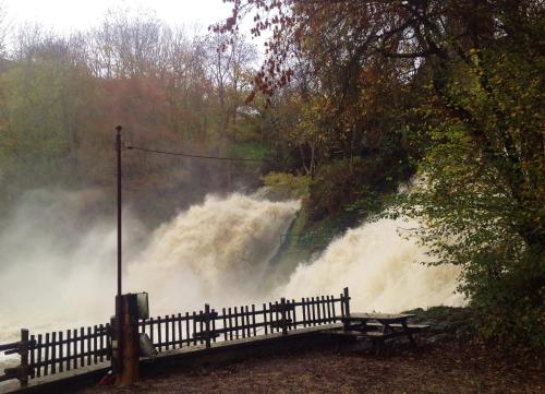 Le Baron Apartments - image 8