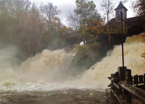Le Baron Apartments - image 6
