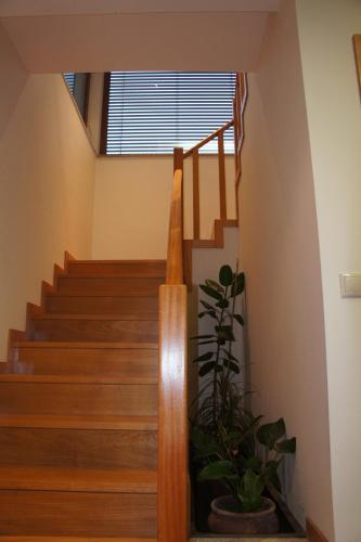 Quinta Travessa - image 13