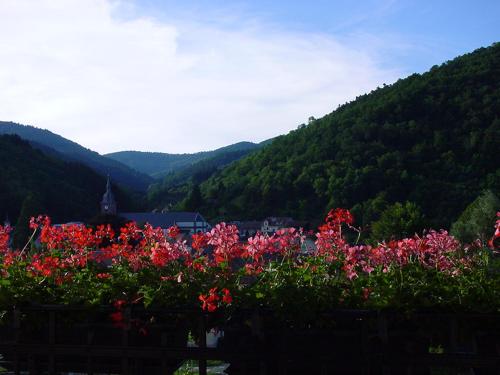 chambres d'hotes " Le Magnolia " in Sainte-Croix-aux-Mines