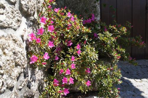 Quinta Travessa - image 12