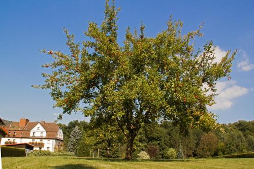 Hotel Jägerhof