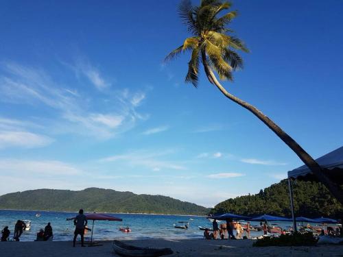 Perhentian Island Cocohut Long Beach Resort Setiu Start From Thb Per Night Price Address Reviews