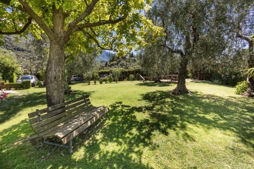 Residence Parco Lago di Garda - image 8