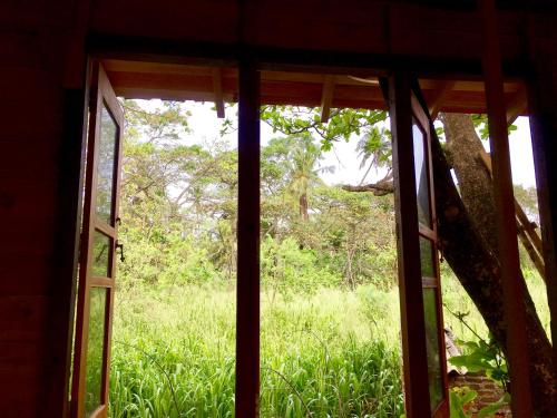 Seasons Four Eco Treehouse-Jungle View Breakfast & Walk to Beach - image 2
