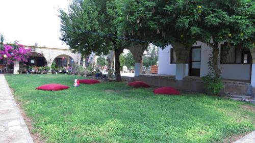 Elausa Hotel & Restaurant - image 14