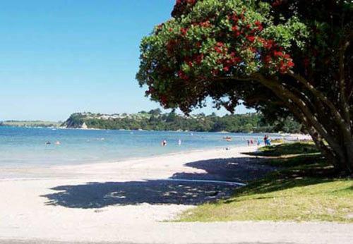 rand, Snells Beach Motel in Warkworth