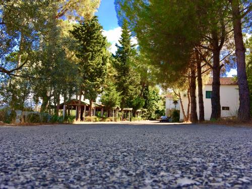 Hotel Nature in 科洛涅