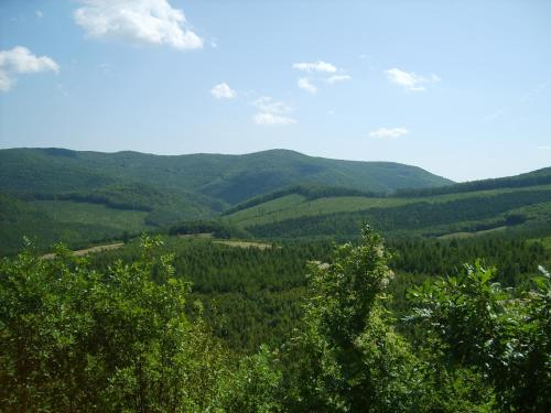 Alabástrom Panzió és Étterem - image 6