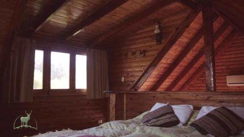 Cabin (4 Adults) image 1