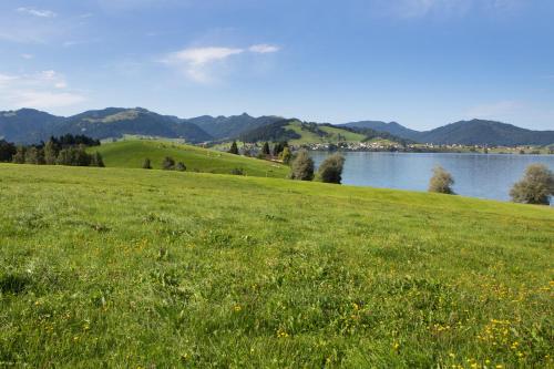 B&B Ferienhof am See – Einsiedeln, NM