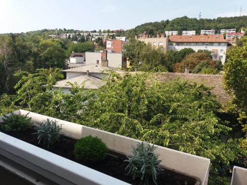 Málnás Macska Apartman