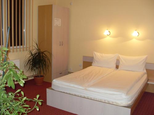Pensiunea Beverly Hills - image 5