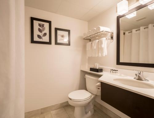 Country Inn & Suites by Radisson Rochester-Pittsford/Brighton NY - image 8