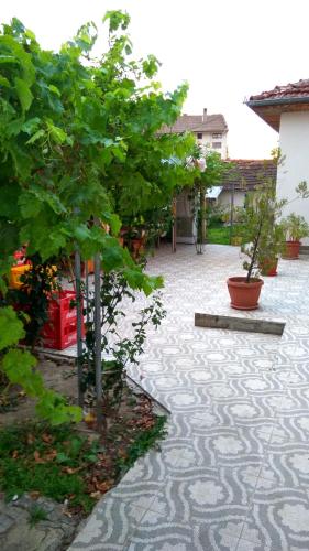 . Guest House Dar