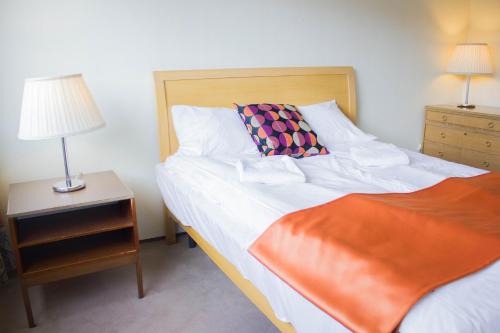 Hornsjø Høyfjellshotel - image 3